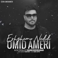 Omid Ameri Eshghamo Nadidi