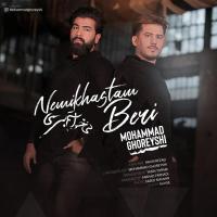 Mohammad Ghoreyshi & Mehdi Rezaei Nemikhastam Beri