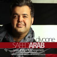 Saeed Arab Divooneh