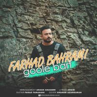 Farhad Bahrami Goole Barf