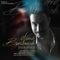 Shahin Rashidi Naro Bassame