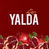 Amir Khoshnam Yalda