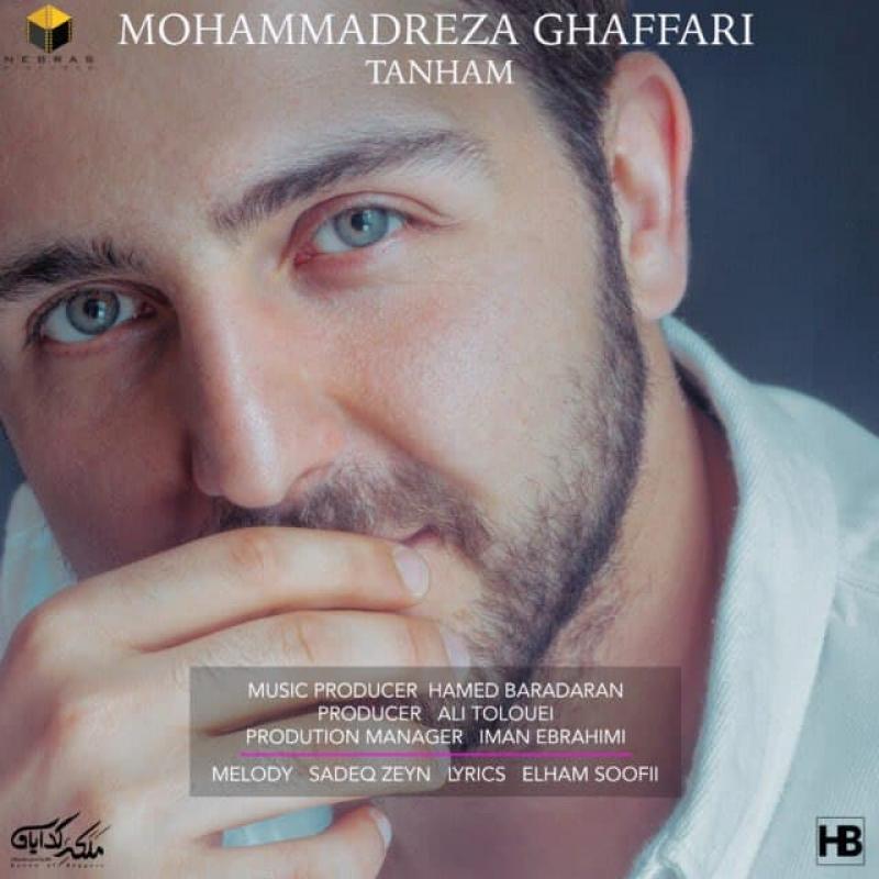 Mohammadreza Ghaffari Tanham