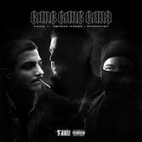 Mehrad Hidden Ft. Canis Gang Gang Gang