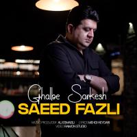 Saeed Fazli Ghalbe Sarkesh