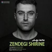 Mohammad Yousefi Zendegi Shirine