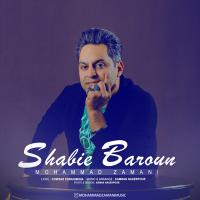 Mohammad Zamani Shabihe Baroon