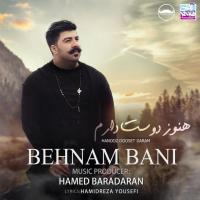 Behnam Bani Hanooz Dooset Daram