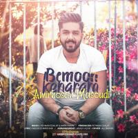 Amirhosein Masoudi Bemoon Kenaram