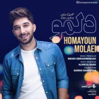Homayoun Molaei Delamo
