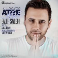 Saleh Salehi Atre Ajib