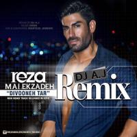 Reza Malekzadeh Divooneh Tar (Remix)