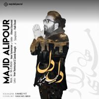 Majid Alipour Del Del