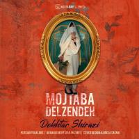 Mojtaba Delzendeh Dokhtar Shirazi