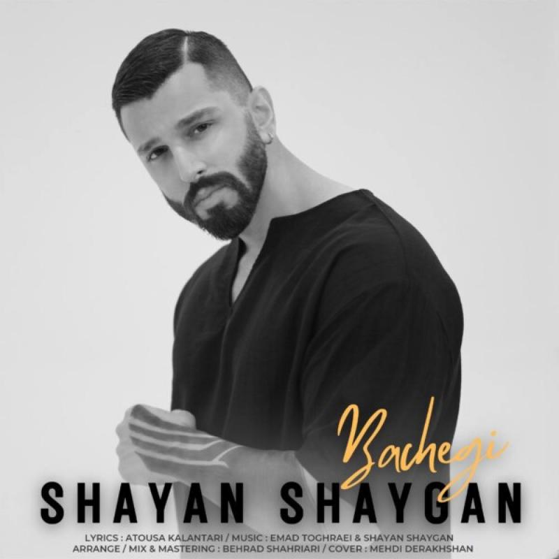 Shayan Shaygan Bachegi