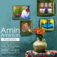 Amin Aminian Roshani