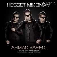 Ahmad Saeedi Hesset Mikonam