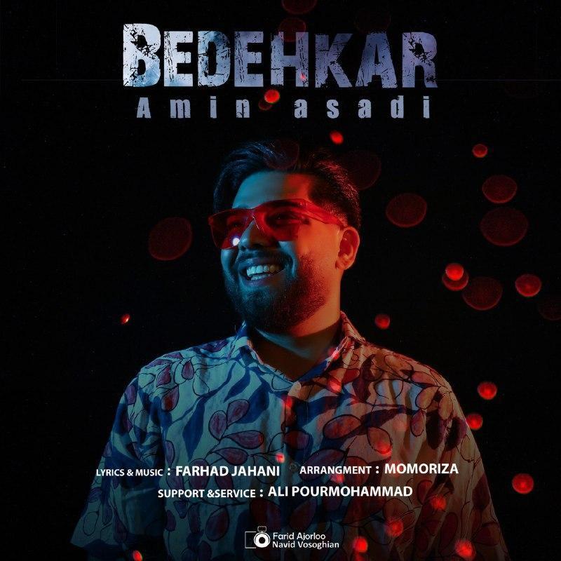 Amin Asadi Bedehkar