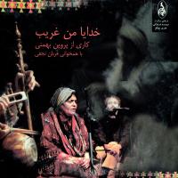 Parvin Bahmani Ye Hamomi