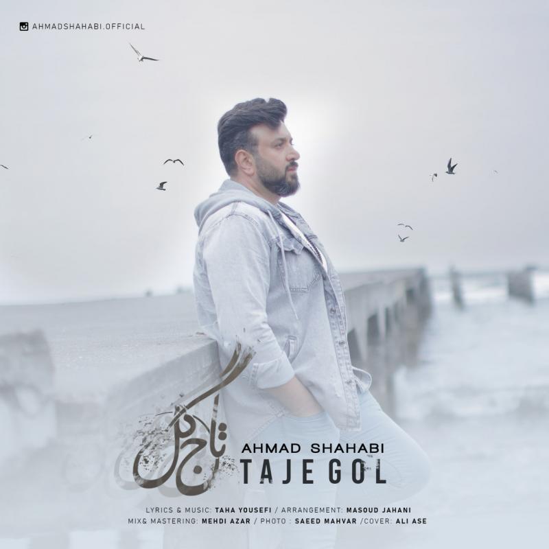 Ahmad Shahabi Taje Gol