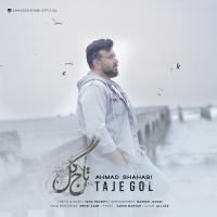 Ahmad Shahabi Taje Gol