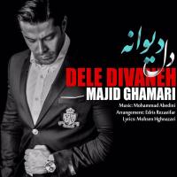 Majid Ghamari Dele Divaneh