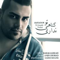 Bahador To Gonahi Nadari