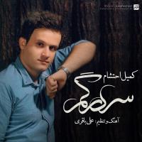 Komeil Ehtesham Sargardoon