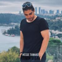 Ramin Bibak Hesse Tanhaei