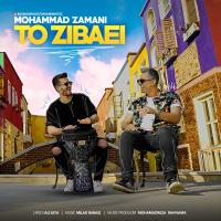 Mohammad Zamani To Zibaei