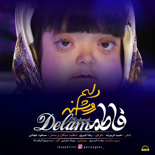 Fatemeh Delam Roshane