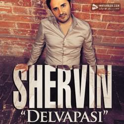 Shervin Delvapasi