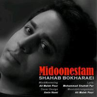 Shahab Bokharaei Midonestam