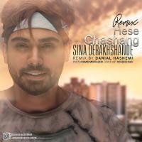 Sina Derakhshande Hesse Ghashang (Danial Hashemi Remix)