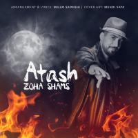 Zoha Shams Atash