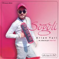 Arian Yari Sogoli