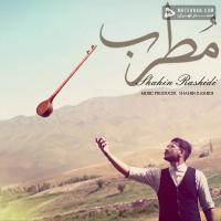 Shahin Rashidi Motreb