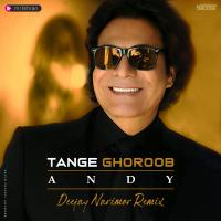 Andy Tange Ghoroob (Deejay Narimor Remix)