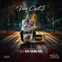 Dj Shahrad Vibe Cast 3