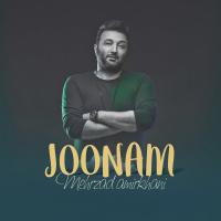 Mehrzad AmirKhani Joonam