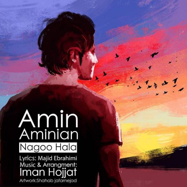 Amin Aminian Nagoo Hala