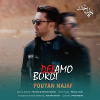 Pouyan Najaf Bordi Delamo