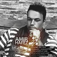 Amir Hafez Boghz