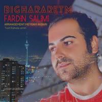 Fardin Salimi Bighararetam