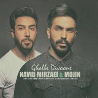 Navid Mirzaie & Mojin Ghalbe Divoone