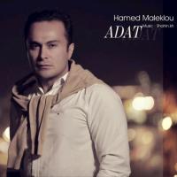 Hamed Maleklou Adat