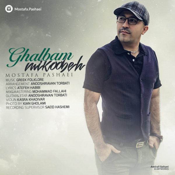 Mostafa Pashaei Ghalbam Mikoobeh