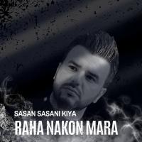 Sasan Sasani Kiya Raha Nakon Mara