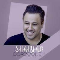 Shahyad Dordooneh