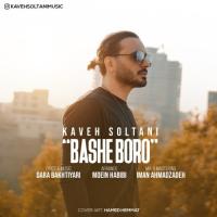 Kaveh Soltani Bashe Boro